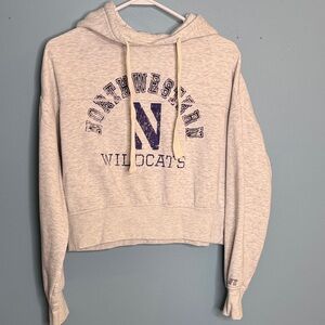 Russell Athletic Northwestern Wildcats Gray Hoodie